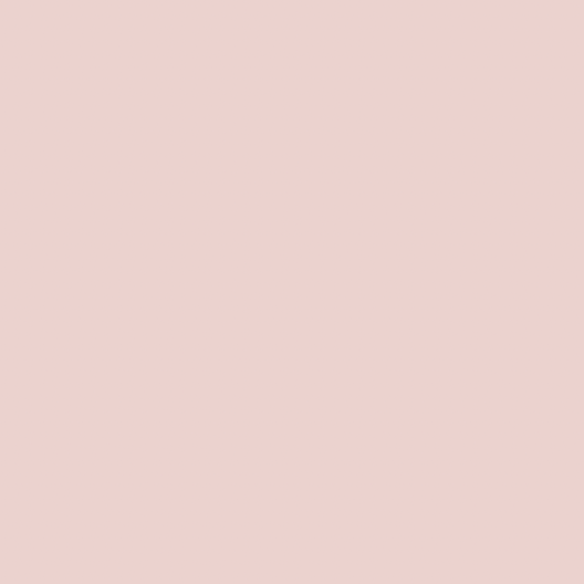 Dulux Birthday Cake DLX1059-2, an earthy blush pink 2027 Colour of the Year