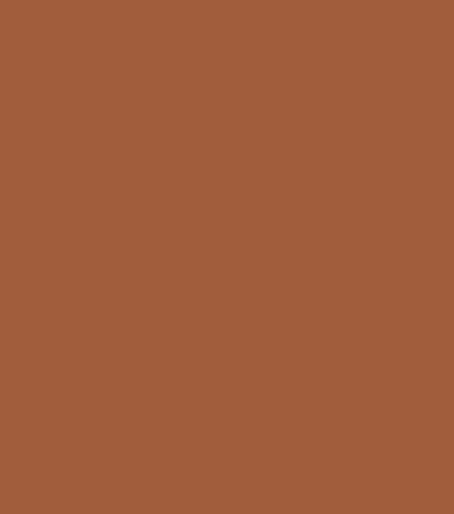 Sico Glazed Earth 6066-84, a terracotta brown 2027 Colour of the Year
