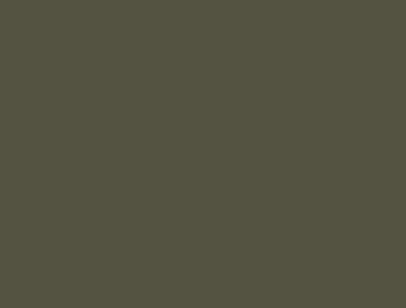 Behr Grounded T27-01, a mossy olive 2027 Colour of the Year