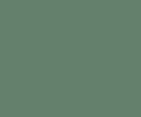 Benjamin Moore Webster Green HC-130, a 2027 Colour of the Year